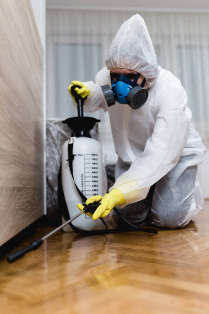 Best Pest Prevention Services  in West Ack, NY